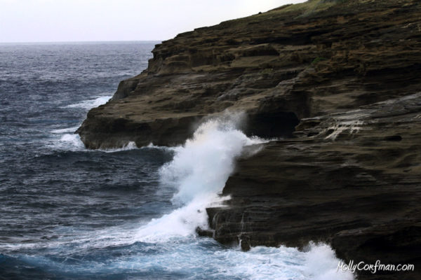 Sea Cliffs