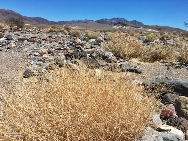 Death Valley 14