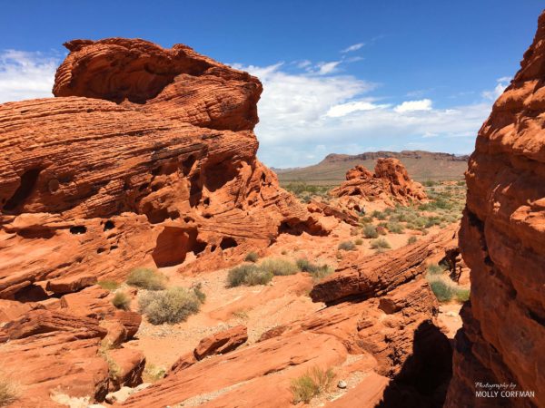 Valley of Fire 07