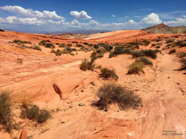 Valley of Fire 21