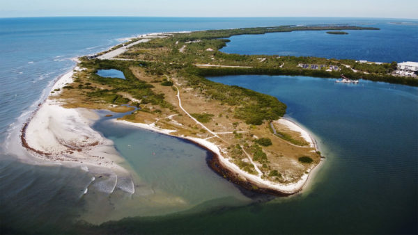 Dunedin Causeway 01