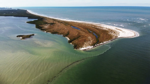 Dunedin Causeway 02