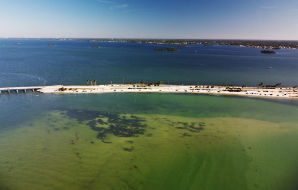 Dunedin Causeway 06