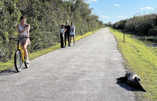 Everglades National Park 001