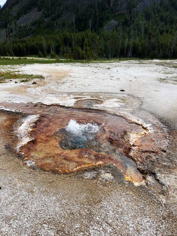 Yellowstone 007