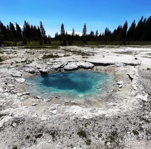 Yellowstone 014