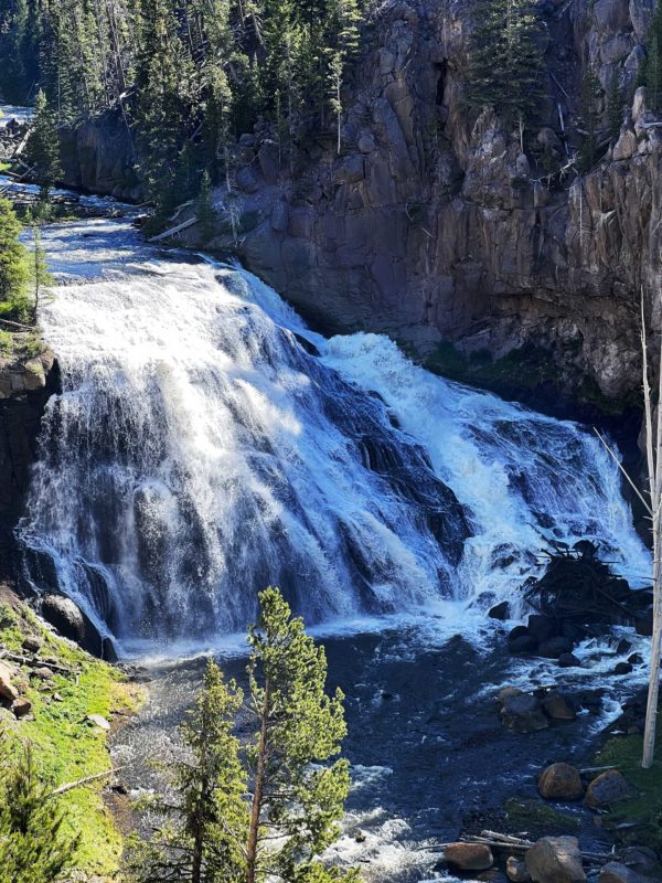 Yellowstone 029