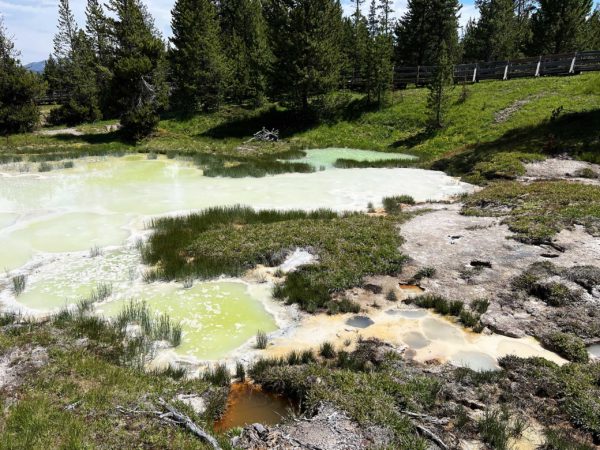 Yellowstone 034