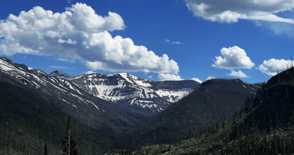 Yellowstone 036